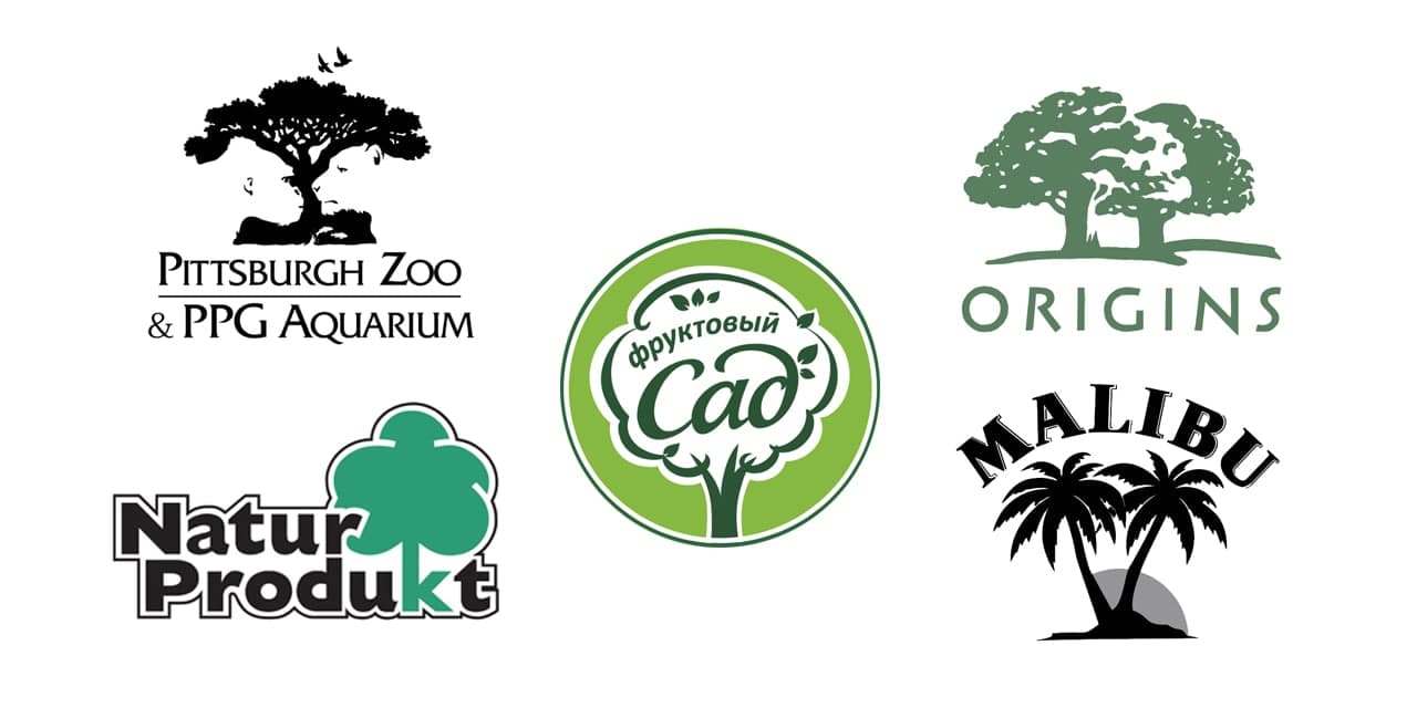 photo 2020 11 16 16 27 59 - Значение логотипов с деревом и советы профессионалов по созданию эмблемы